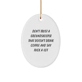 groundskeeper Gifts from Men - Funny Oval Ornament, Don't Trust a groundskeeper Quote, Christmas Unique Gifts for Friends, Family, or Coworkers - Image 1