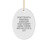 Funny Personal Assistant Oval Ornament Gifts from Men to Friends - Christmas Unique Gifts for Personal Assistant - Image 1