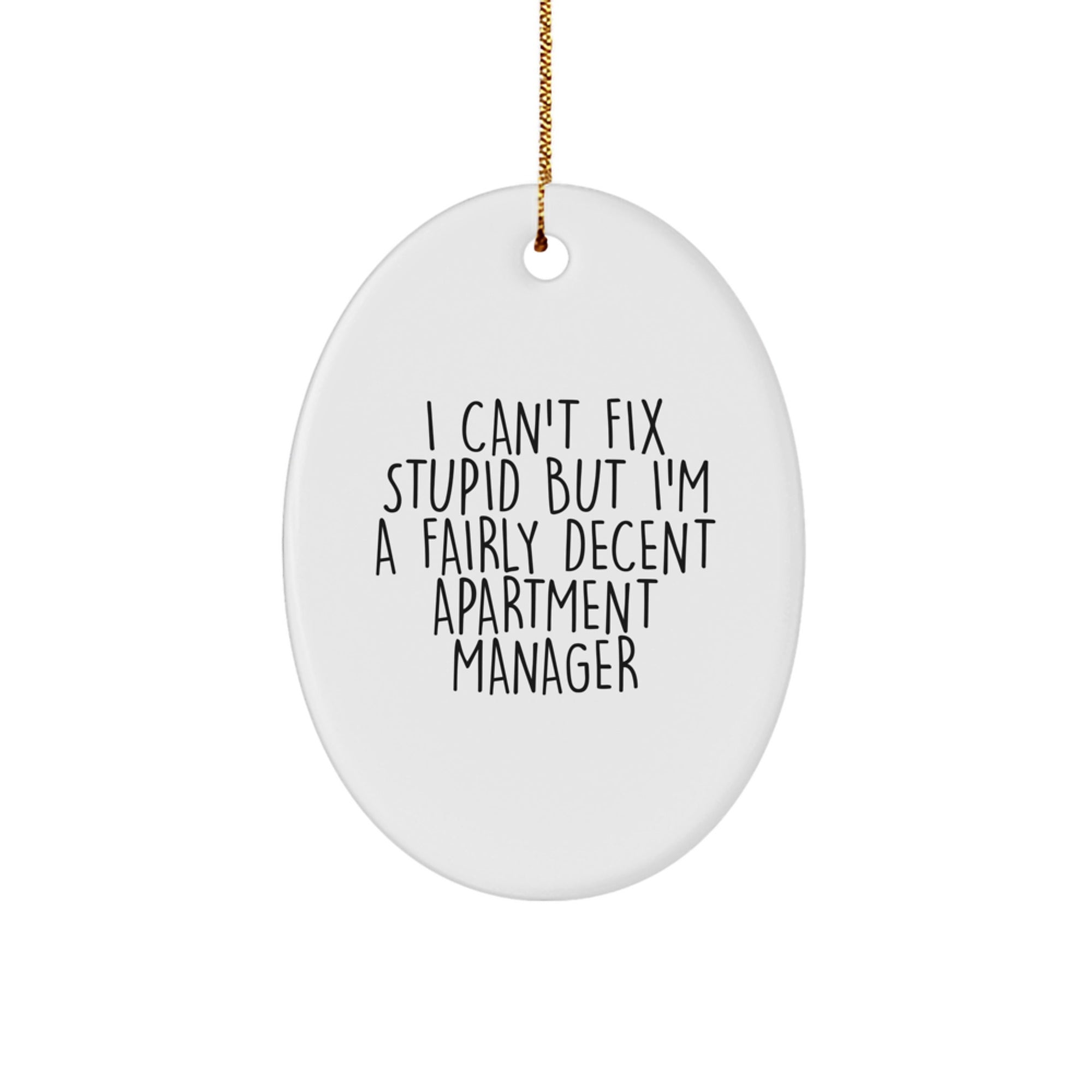 Funny Quote Gifts for Apartment Managers - I Can't Fix Stupid But I'm A Fairly Decent Apartment Manager Oval Ornament for Christmas - Image 1