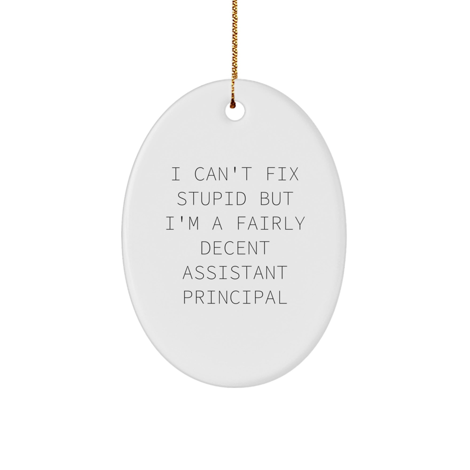Funny Assistant Principal Gifts for Men, Oval Ornament - I Can't Fix Stupid But I'm A Decent Assistant Principal - Christmas Unique Gifts from Friends - Image 1