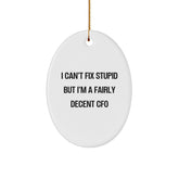 Funny CFO Gifts, Oval Ornament for Family, Men, Women, Friends, Coworkers, 'I Can't Fix Stupid But I'm A Fairly Decent Cfo' Christmas Unique Gifts from Friends to CFO - Image 1