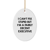 Funny Executive Oval Ornament Gifts for Men - Christmas Unique Gifts from Friends - Oval Ornament for Executive Office Decor - I Can't Fix Stupid - Image 1