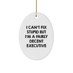Funny Executive Oval Ornament Gifts for Men - Christmas Unique Gifts from Friends - Oval Ornament for Executive Office Decor - I Can't Fix Stupid - Image 1