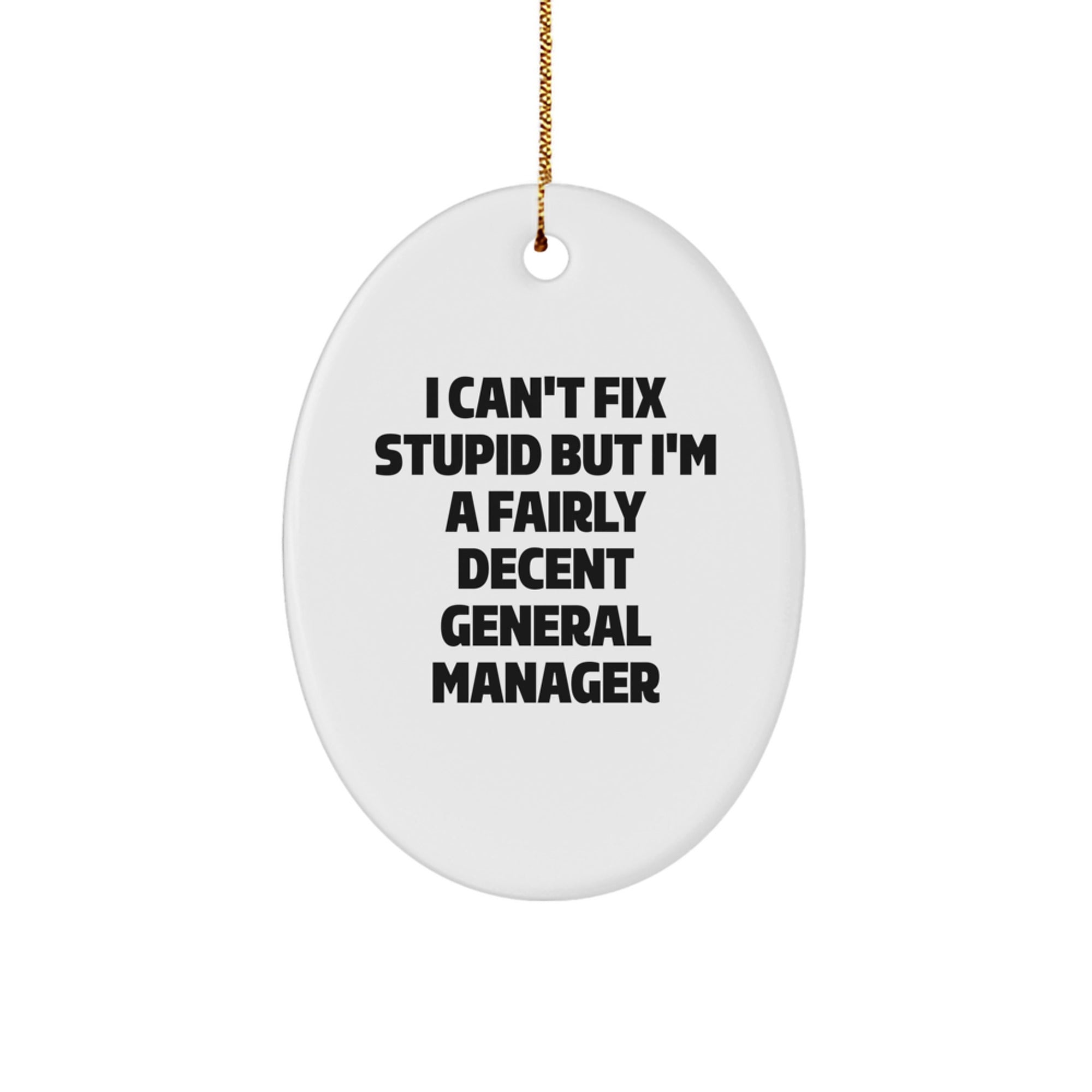 Funny General Manager Gifts Oval Ornament - I Can't Fix Stupid But I'm A Fairly Decent General Manager, Gifts from Friends, Christmas Unique Gifts for General Manager - Image 1