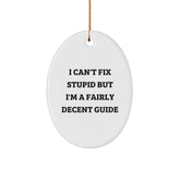Funny Guide Gifts for Men - Oval Ornament, 'I'm A Fairly Decent Guide' Christmas Unique Gifts from Friends - Image 1