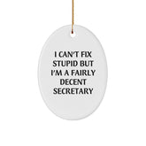 Secretary Gifts from Friends - Oval Ornament with Funny Quote - I Can't Fix Stupid But I'm A Fairly Decent Secretary, Gifts for Secretary, Christmas Unique - Image 1