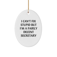 Secretary Gifts from Friends - Oval Ornament with Funny Quote - I Can't Fix Stupid But I'm A Fairly Decent Secretary, Gifts for Secretary, Christmas Unique - Image 1