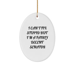 Funny Senator Oval Ornament Gifts from Friends for Senator, Oval Ornament I'm A Fairly Decent Senator Christmas Unique Gifts - Image 1