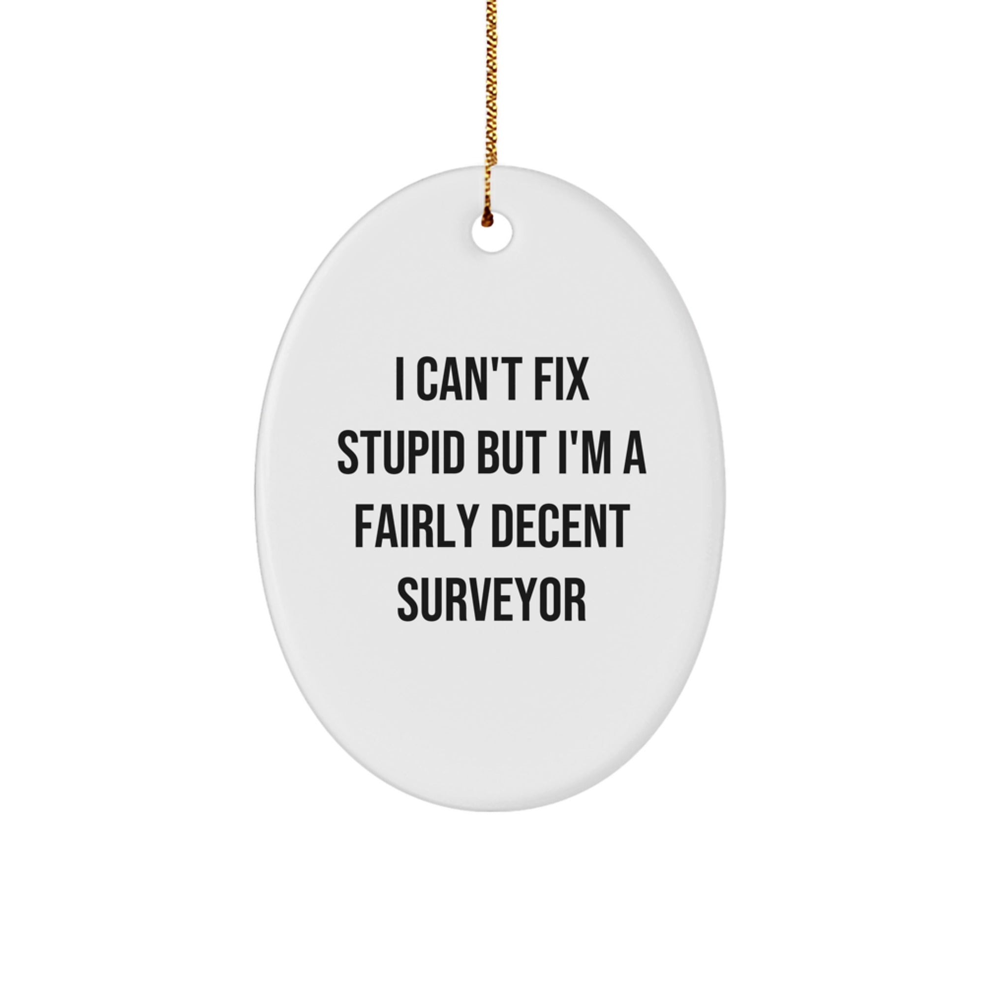Funny Surveyor Gifts, I Can't Fix Stupid But I'm A Fairly Decent Surveyor Oval Ornament, White, Christmas Unique Gifts from Men to Friends, Family, or Coworkers - Image 1