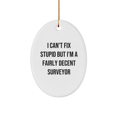 Funny Surveyor Gifts, I Can't Fix Stupid But I'm A Fairly Decent Surveyor Oval Ornament, White, Christmas Unique Gifts from Men to Friends, Family, or Coworkers - Image 1