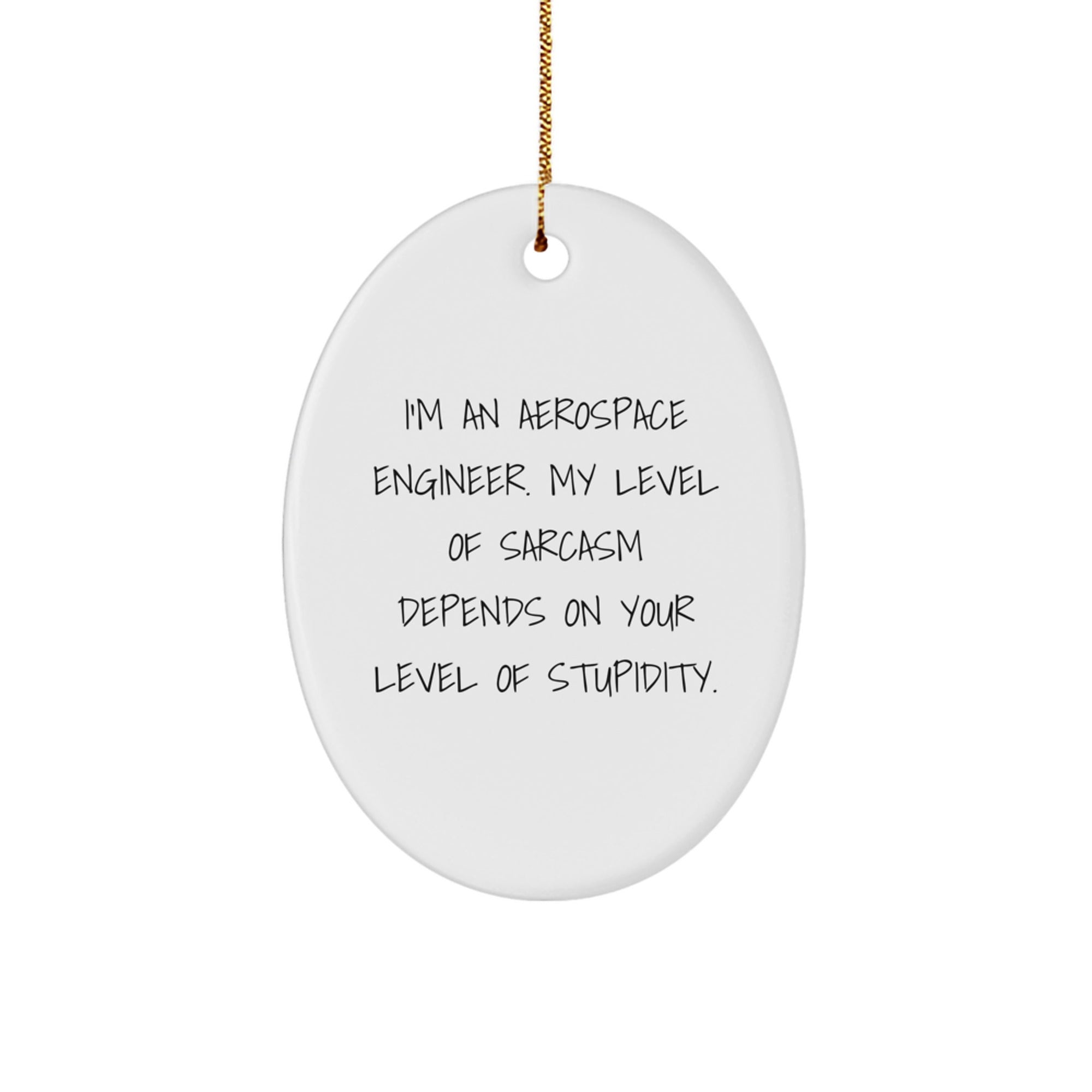 Aerospace Engineer Quotes Oval Ornament Gifts for Friends from, Funny Sarcasm Christmas Decor - Image 1