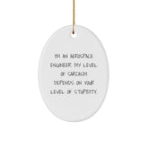 Aerospace Engineer Quotes Oval Ornament Gifts for Friends from, Funny Sarcasm Christmas Decor - Image 1