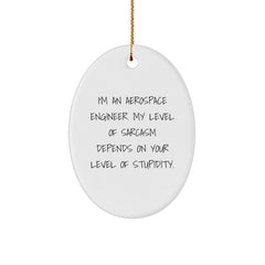 Aerospace Engineer Quotes Oval Ornament Gifts for Friends from, Funny Sarcasm Christmas Decor - Image 1
