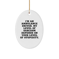 Ambulance Driver Sarcasm Oval Ornament, Funny Gifts from Friends to Ambulance Driver, Unique Christmas Unique Gifts for Ambulance Driver - Image 1