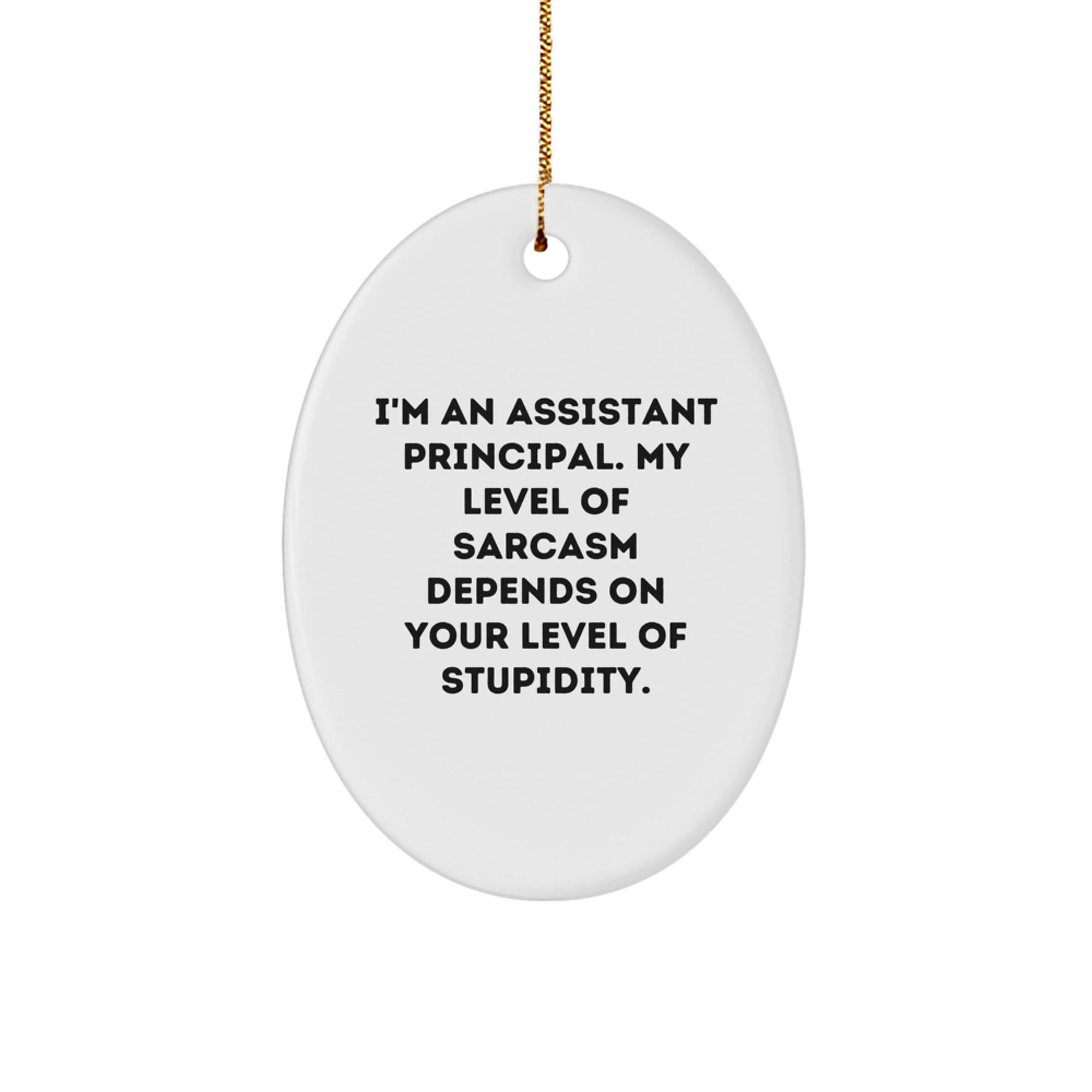 Funny Assistant Principal Gifts for Christmas - I'm An Assistant Principal Oval Ornament from Friends, 'Sarcasm Depends On Your Level Of Stupidity' - Gifts from Family, Coworkers, or Friends - Image 1