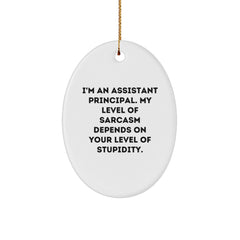 Funny Assistant Principal Gifts for Christmas - I'm An Assistant Principal Oval Ornament from Friends, 'Sarcasm Depends On Your Level Of Stupidity' - Gifts from Family, Coworkers, or Friends - Image 1