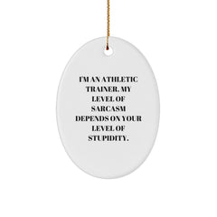 Athletic Trainer Humor Gifts from Friends and Family - 'I'm An Athletic Trainer...' Oval Ornament for Christmas - Image 1