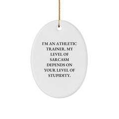 Funny Athletic Trainer Gifts, 'I'm An Athletic Trainer' Oval Ornament, Christmas Unique Gifts for Men, Women, Coworkers, Family and Friends - Image 1