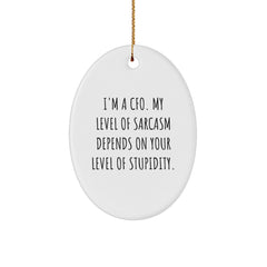 CFO Gifts - I'm A Cfo. My Level Of Sarcasm Depends On Your Level Of Stupidity. - Oval Ornament - Funny Christmas Unique Gifts from Friends - Image 1