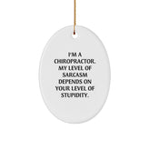 Funny Chiropractor Gifts from Friends - Oval Ornament with 'I'm A Chiropractor. My Level Of Sarcasm Depends On Your Level Of Stupidity.' Quote - Christmas Unique Gifts for Chiropractors - Image 1