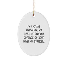 Funny Crane Operator Gifts from Friends and Family - 'I'm A Crane Operator' Oval Ornament for Christmas - Image 1