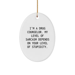 Drug Counselor Gifts, Funny Oval Ornament, Gifts from Friends for Drug Counselor, Christmas Unique Gifts with Inspirational Quote - Image 1