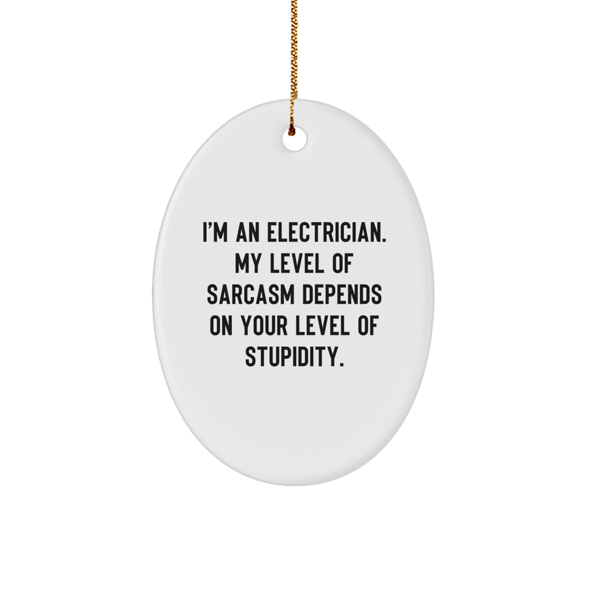 Electrician Sarcasm Oval Ornament Gifts from Men to Electrician Friends, Funny Christmas Decorations - Image 1