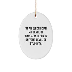 Electrician Sarcasm Oval Ornament Gifts from Men to Electrician Friends, Funny Christmas Decorations - Image 1