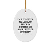 Funny Forester Gifts, I'm A Forester, My Level Of Sarcasm Depends On Your Level Of Stupidity, Oval Ornament, Christmas Unique Gifts from Friends to Forester - Image 1