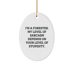 Funny Forester Gifts, I'm A Forester, My Level Of Sarcasm Depends On Your Level Of Stupidity, Oval Ornament, Christmas Unique Gifts from Friends to Forester - Image 1