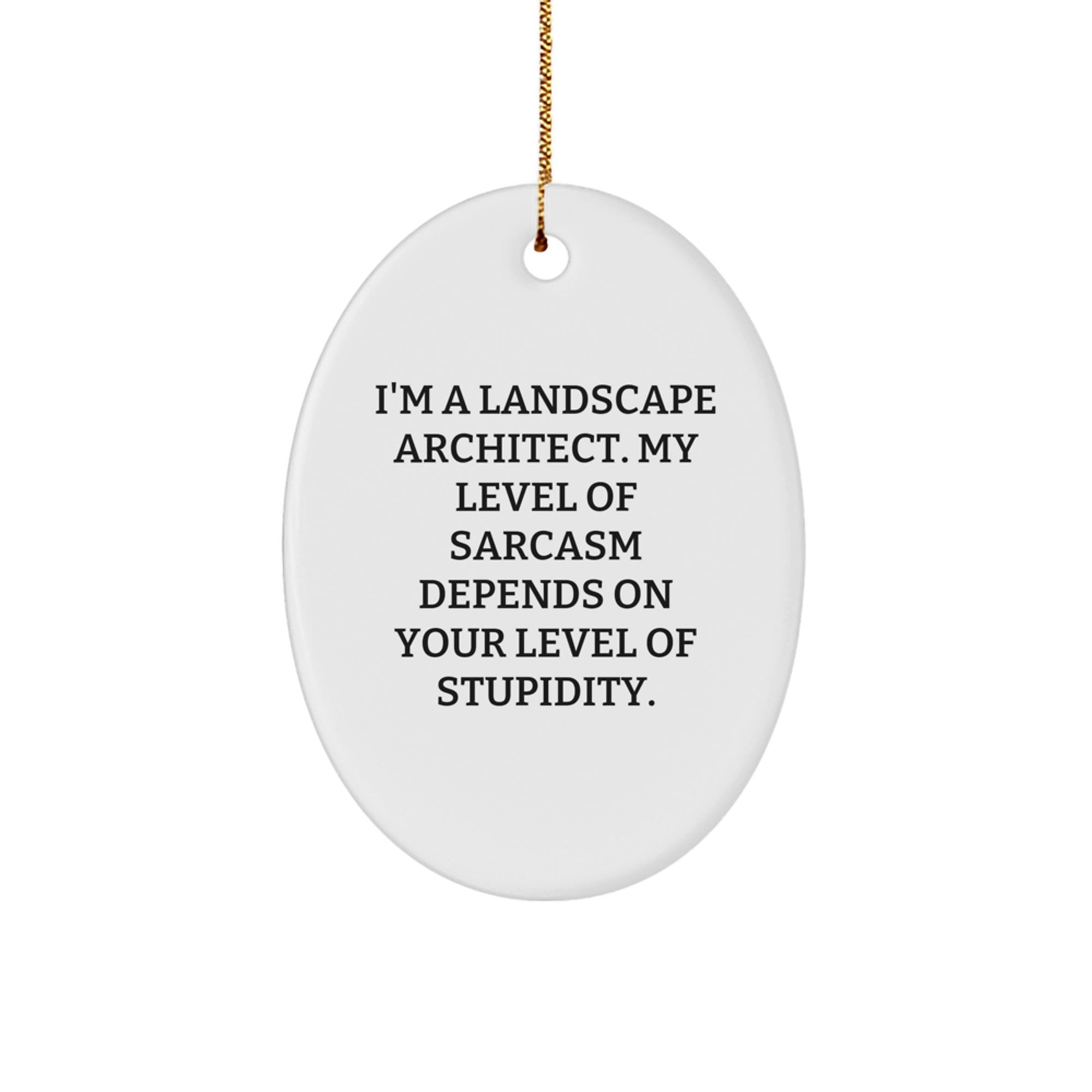 Funny Landscape Architect Gifts from Friends, Christmas Unique Oval Ornaments for Landscape Architect, 'I'm A Landscape Architect. My Level Of Sarcasm Depends On Your Level Of Stupidity.' - Image 1