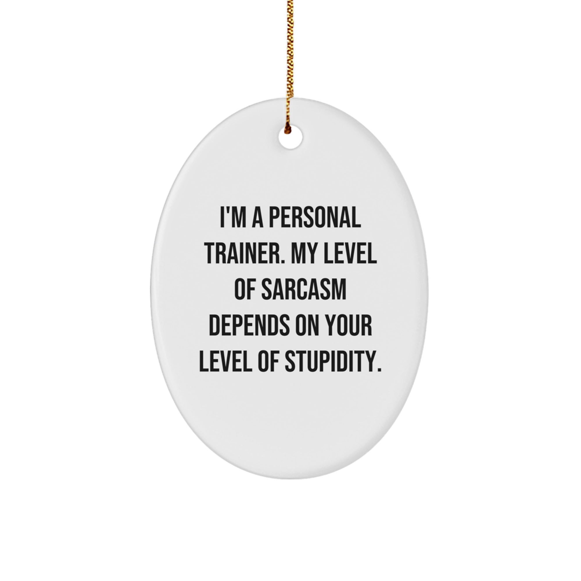 Funny Personal Trainer Gifts from Friends and Family - Oval Ornament with Sarcasm Quote - Unique Christmas Memorable Present for Men and Women - Image 1