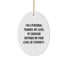 Funny Personal Trainer Gifts from Friends and Family - Oval Ornament with Sarcasm Quote - Unique Christmas Memorable Present for Men and Women - Image 1