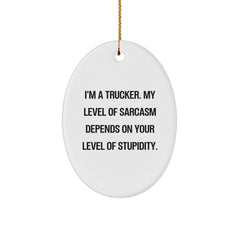 Funny Trucker Gifts, Oval Ornament, I'm A Trucker, My Level Of Sarcasm Depends On Your Level Of Stupidity, Christmas Unique Gifts from Friends to Family - Image 1