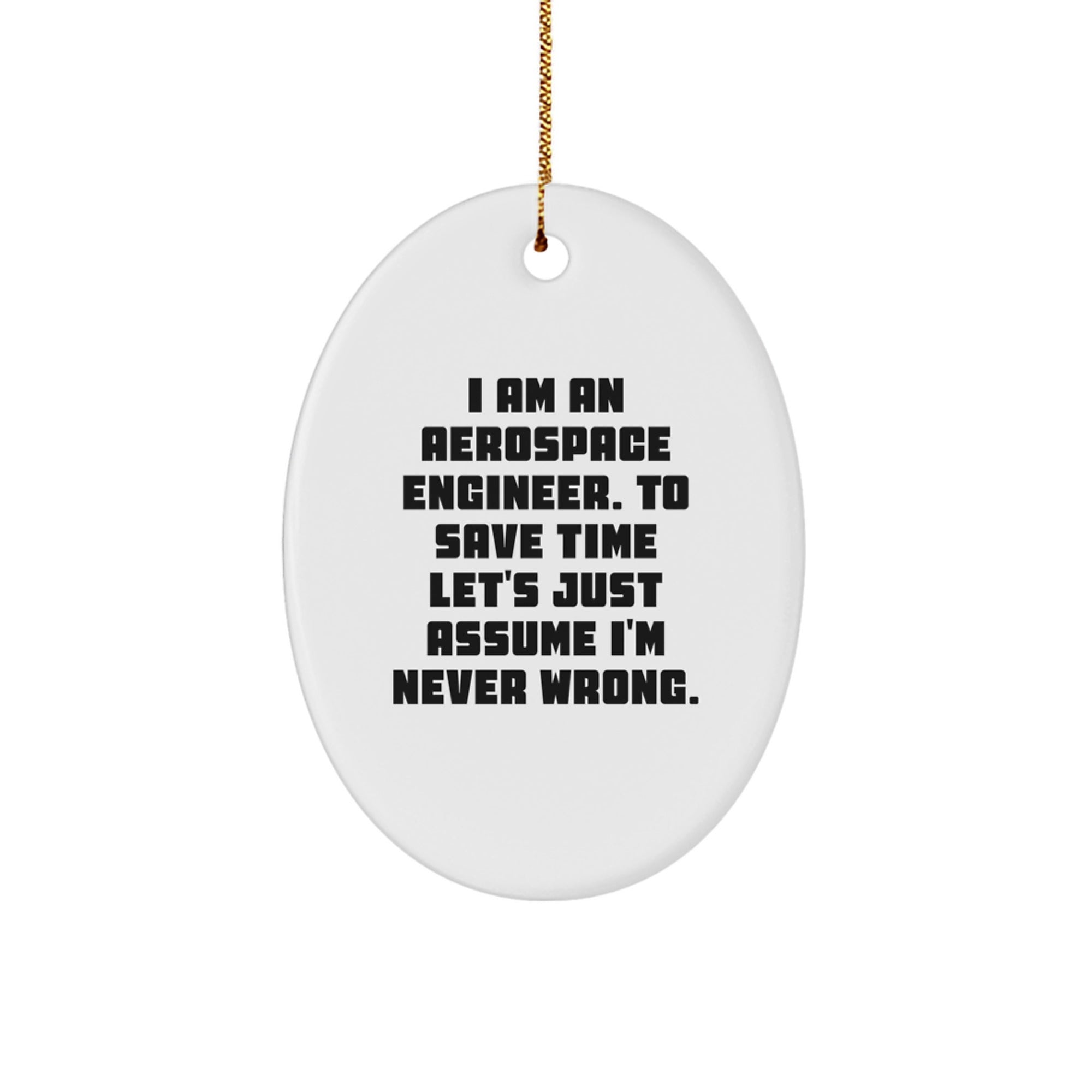 Funny Aerospace Engineer Gifts for Men, Unique Oval Ornament from Friends, Christmas Unique Gifts with I'm Never Wrong Humor - Image 1