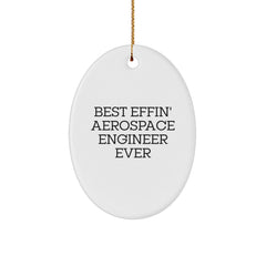 Funny Aerospace Engineer Gifts from Friends - Best Effin' Aerospace Engineer Ever Oval Ornament for Men, Women, and Family - Unique Christmas Unique Gifts - Image 1