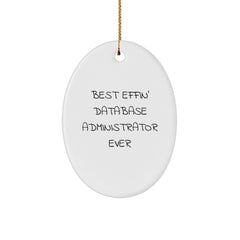 Funny Database Administrator Gifts from Men to Friends - Best Effin' Oval Ornament for Christmas - Image 1