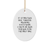 Funny Quote Oval Ornament for Case Manager Gifts from Friends, Coworkers, or Family - Christmas Unique Gifts - Image 1