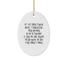 Funny Quote Oval Ornament for Case Manager Gifts from Friends, Coworkers, or Family - Christmas Unique Gifts - Image 1