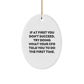 Funny CFO Gifts, Oval Ornament for Christmas Unique Gifts from Men to Women, Friends, Coworkers, Family, 'If At First You Don't Succeed, Try Doing What Your Cfo Told You To Do The First Time.' - Image 1