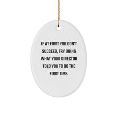 Funny Director Oval Ornament Gifts from Friends for Men, Oval Shaped Christmas Unique Gifts - Image 1