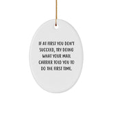 Funny Mail Carrier Gifts, Oval Ornament with Quote, Gifts from Family for Mail Carrier, Unique Christmas Unique Gifts - Image 1