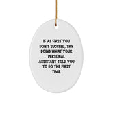 Funny Personal Assistant Gifts Oval Ornament for Personal Assistant Men Gifts from Family - Image 1