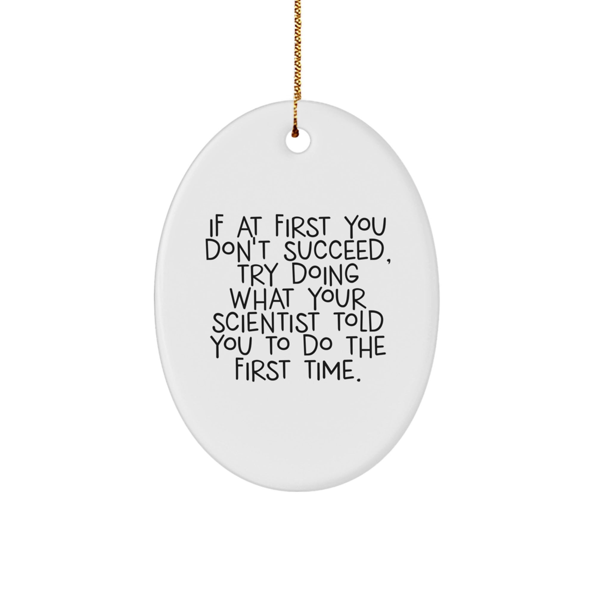 Funny Scientist Gifts from Men to Friends - Oval Ornament with Quote 'If At First You Don't Succeed' - Gifts for Scientist on Christmas - Image 1