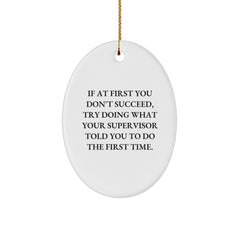 Supervisor Oval Ornament Funny Gift for Christmas, Gifts from Friends and Family, If At First You Don't Succeed, Try Doing What Your Supervisor Told You To Do The First Time. - Image 1