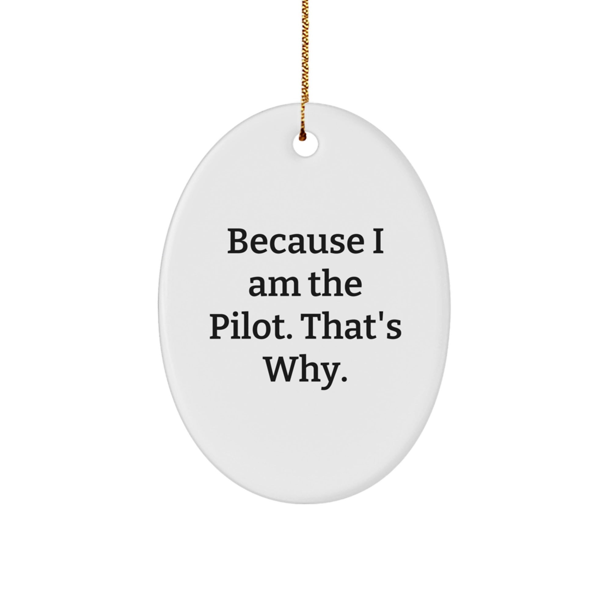 Pilot Gifts from Men for Friends Because I Am The Pilot. That's Why. Oval Ornament, Christmas Unique Presents - Image 1