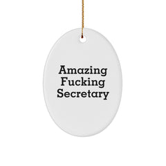 Funny Secretary Gifts from Friends for Christmas - Amazing Oval Ornament - Image 1