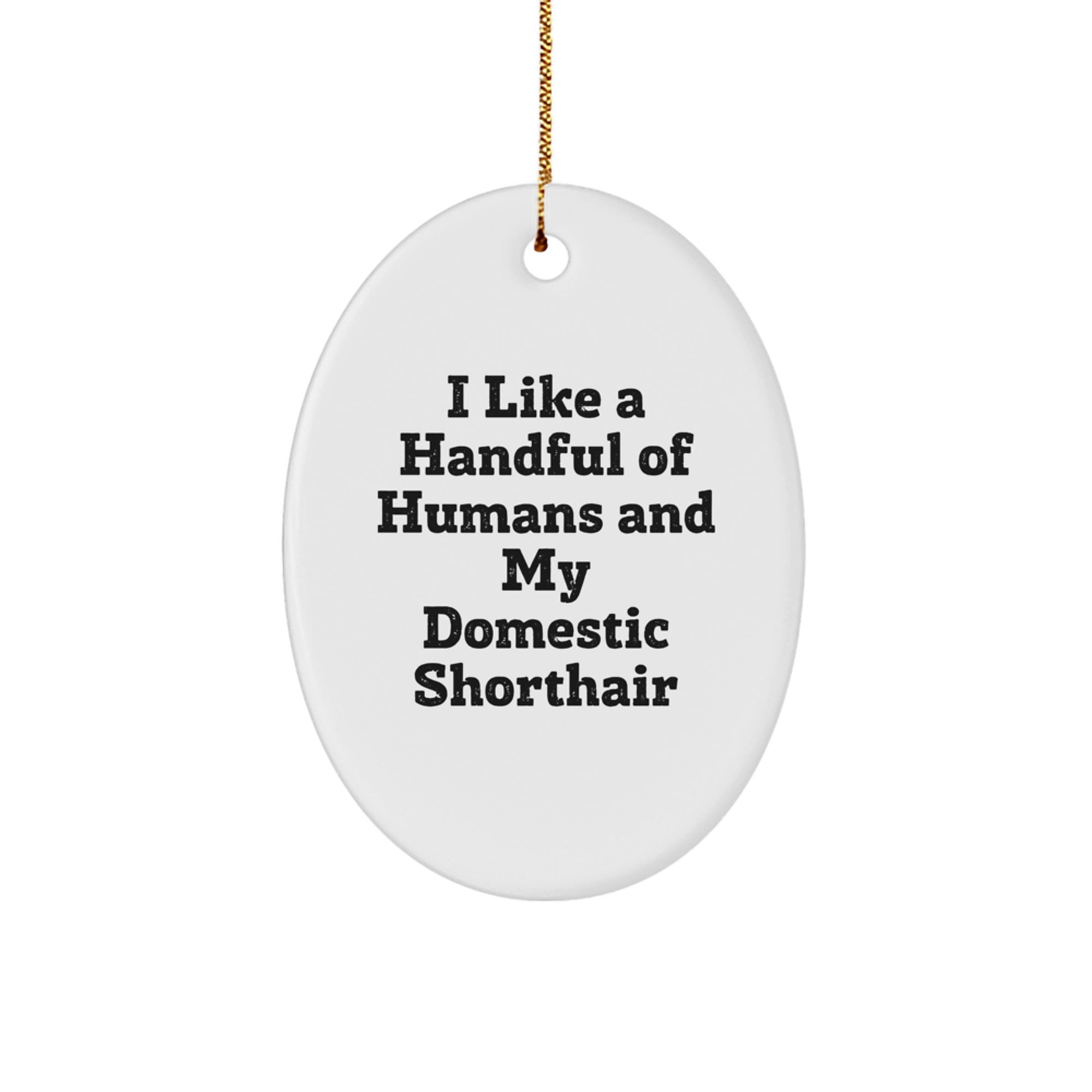 Funny Domestic Shorthair Cat Gifts, Oval Ornament for Men or Women Friends Family, I Like A Handful Of Humans And My Domestic Shorthair, Christmas Unique Gifts from Home - Image 1