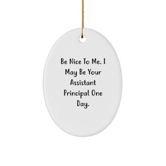 Assistant Principal Gifts from Friends - Funny Oval Ornament for Christmas - Be Nice To Me. I May Be Your Assistant Principal One Day. - Image 1