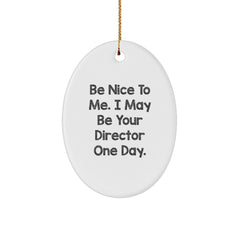 Funny Director Oval Ornament Gifts from Friends and Family for Christmas Unique Presents - Image 1